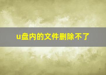 u盘内的文件删除不了