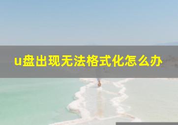 u盘出现无法格式化怎么办