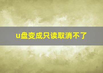 u盘变成只读取消不了