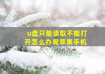 u盘只能读取不能打开怎么办呢苹果手机