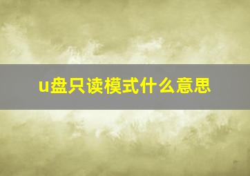 u盘只读模式什么意思