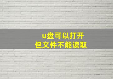 u盘可以打开但文件不能读取