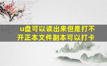 u盘可以读出来但是打不开正本文件副本可以打卡