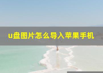 u盘图片怎么导入苹果手机