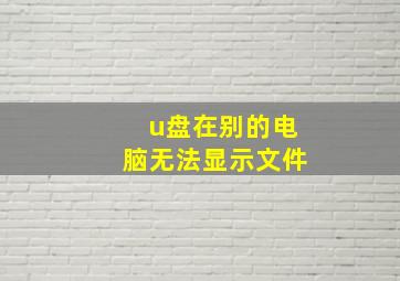 u盘在别的电脑无法显示文件