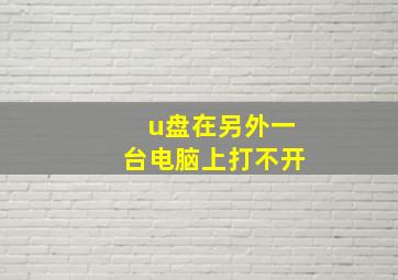 u盘在另外一台电脑上打不开