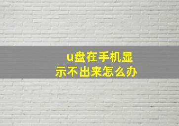 u盘在手机显示不出来怎么办