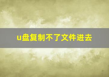 u盘复制不了文件进去