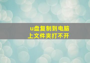 u盘复制到电脑上文件夹打不开