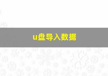 u盘导入数据