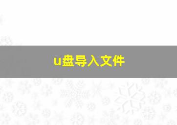 u盘导入文件