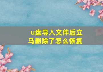 u盘导入文件后立马删除了怎么恢复