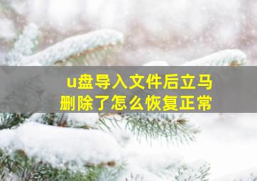 u盘导入文件后立马删除了怎么恢复正常