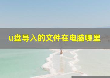 u盘导入的文件在电脑哪里