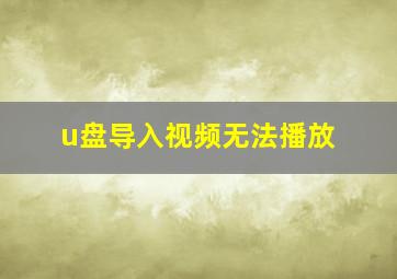 u盘导入视频无法播放