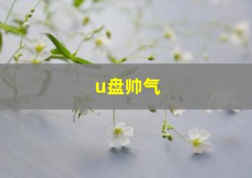 u盘帅气