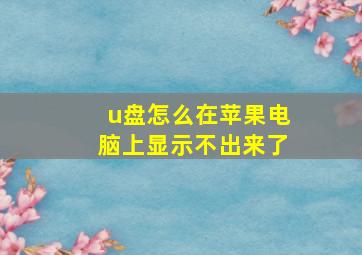 u盘怎么在苹果电脑上显示不出来了