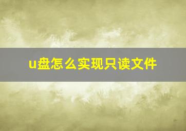 u盘怎么实现只读文件