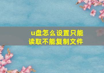 u盘怎么设置只能读取不能复制文件