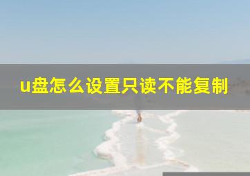 u盘怎么设置只读不能复制