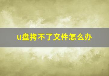 u盘拷不了文件怎么办