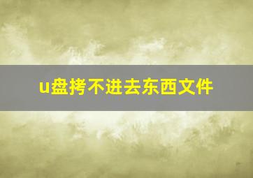 u盘拷不进去东西文件