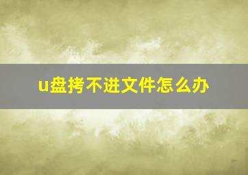 u盘拷不进文件怎么办