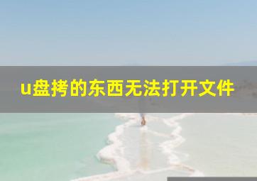 u盘拷的东西无法打开文件