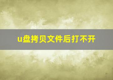 u盘拷贝文件后打不开