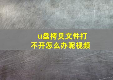 u盘拷贝文件打不开怎么办呢视频