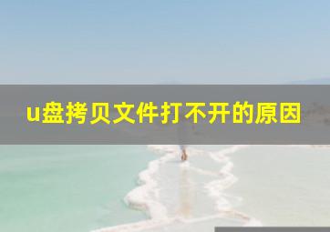 u盘拷贝文件打不开的原因