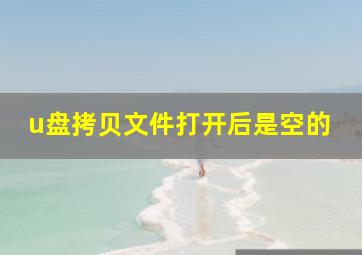 u盘拷贝文件打开后是空的