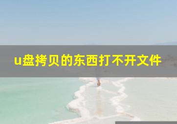 u盘拷贝的东西打不开文件