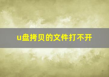 u盘拷贝的文件打不开