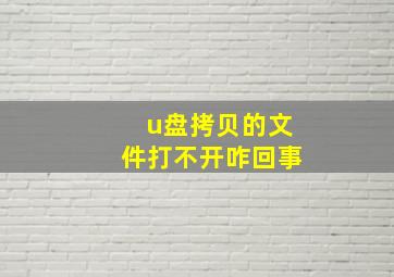 u盘拷贝的文件打不开咋回事