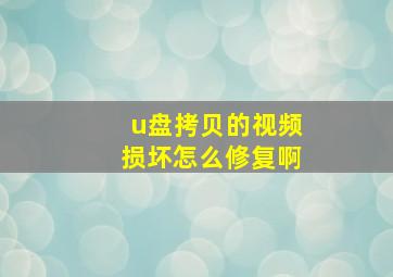 u盘拷贝的视频损坏怎么修复啊