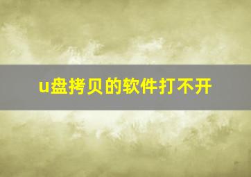 u盘拷贝的软件打不开