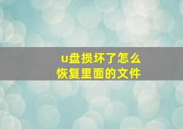 u盘损坏了怎么恢复里面的文件