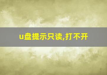 u盘提示只读,打不开