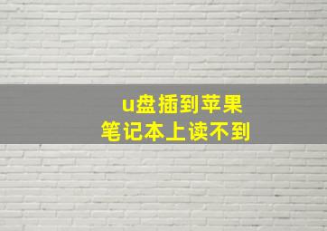 u盘插到苹果笔记本上读不到