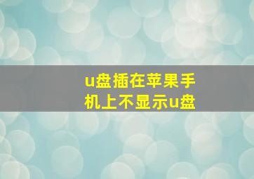 u盘插在苹果手机上不显示u盘