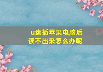 u盘插苹果电脑后读不出来怎么办呢