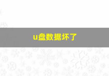 u盘数据坏了