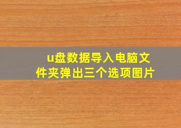 u盘数据导入电脑文件夹弹出三个选项图片