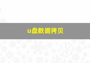 u盘数据拷贝