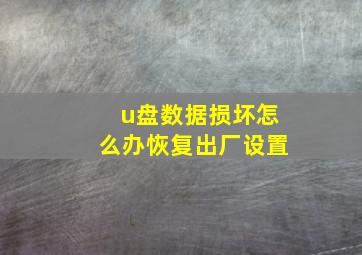 u盘数据损坏怎么办恢复出厂设置