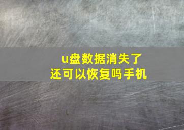 u盘数据消失了还可以恢复吗手机