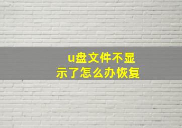 u盘文件不显示了怎么办恢复