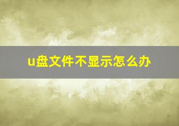 u盘文件不显示怎么办