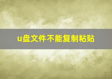 u盘文件不能复制粘贴